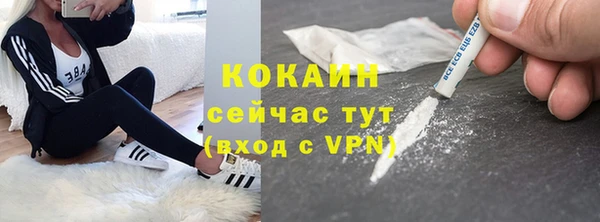PSILOCYBIN Инта