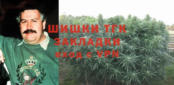 PSILOCYBIN Инта