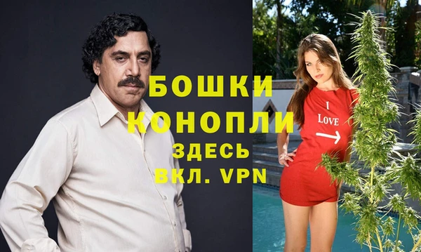 mdpv Инсар