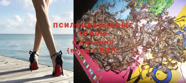 mdpv Инсар