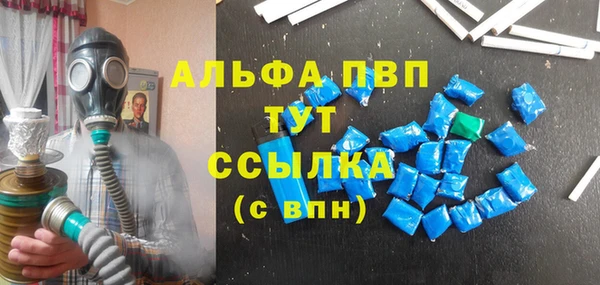 PSILOCYBIN Инта