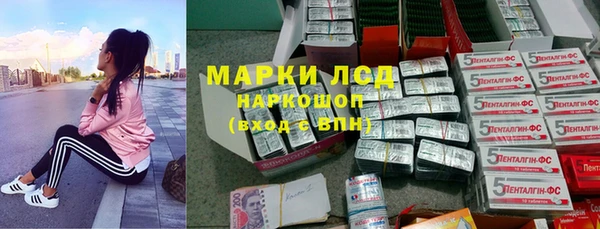 mdpv Инсар