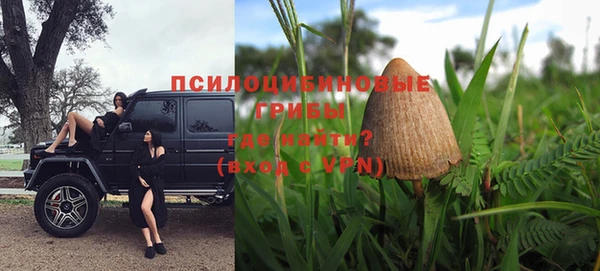 mdpv Инсар