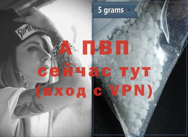 PSILOCYBIN Инта