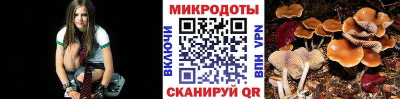 Галлюциногенные грибы Cubensis  Купить закладки  Полтавская 
